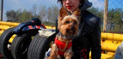 2010 D1UDF R1